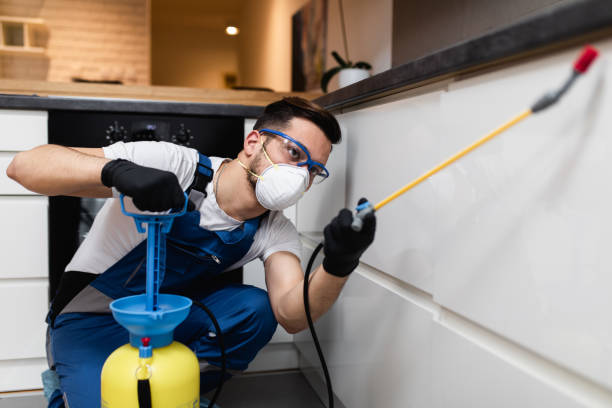 Best Local Pest Control Services  in Brighton, TN