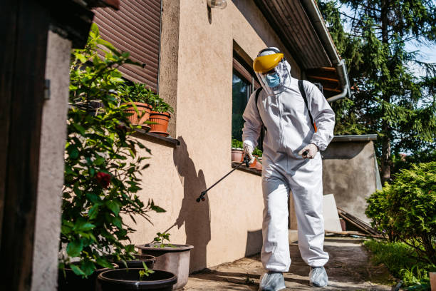 Best Wasp Removal Services  in Brighton, TN