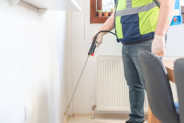 Wasp Removal Services in Brighton, TN