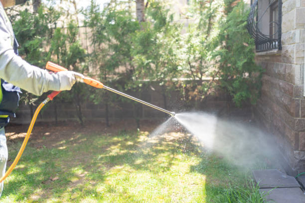 Best Termite Control Services  in Brighton, TN