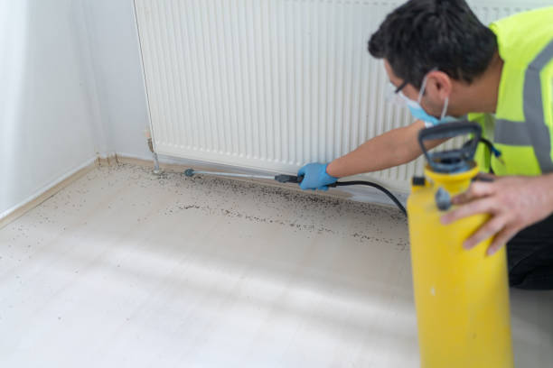 Best Flea Control Services  in Brighton, TN