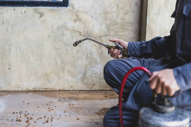 Best Pest Inspection Near Me  in Brighton, TN